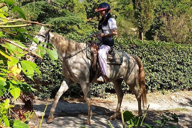 Horseback Ride and Poolside Day Chillout With Tuscan Lunch - What To Expect