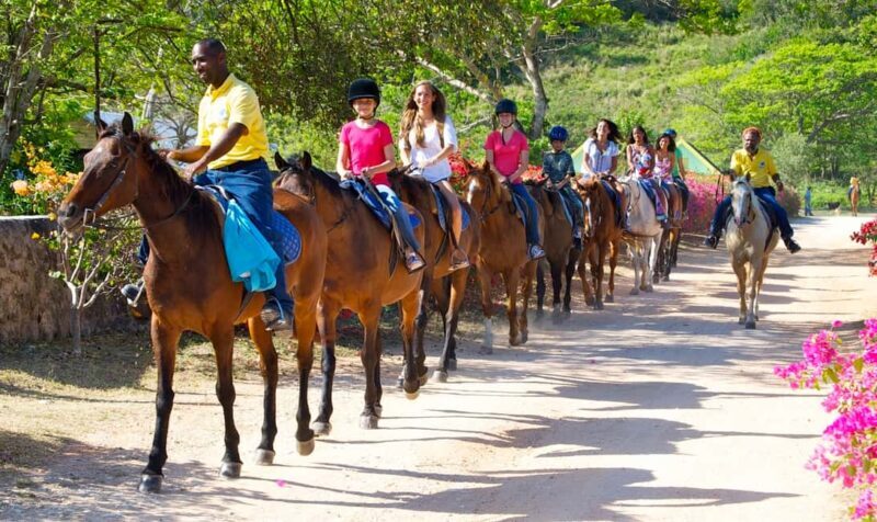 Horseback Ride and Swim Excursion - An In-depth Look at the Horseback Ride and Swim Excursion