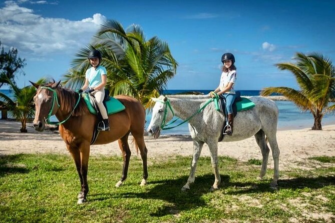 Horseback Ride and Swim From Montego Bay - Itinerary Details