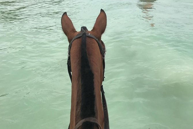 Horseback Ride and Swim From Ocho Rios - Reviews and Ratings Analysis