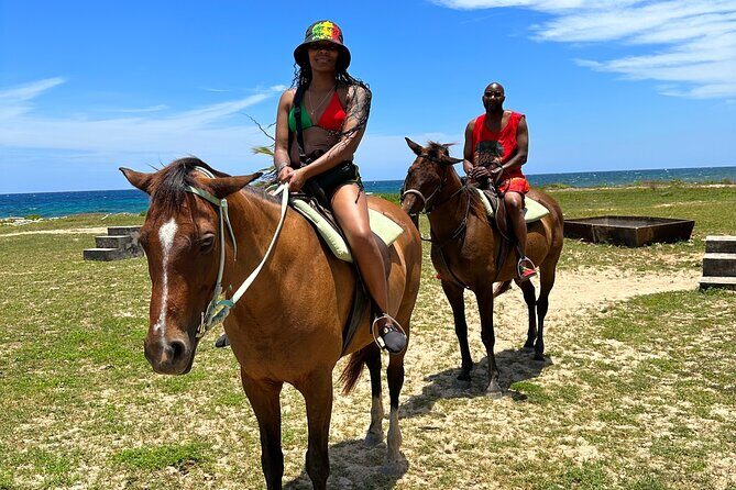 Horseback Ride and Swim Guided Tour from Montego Bay - A Deep Dive into the Horseback Ride and Swim Tour