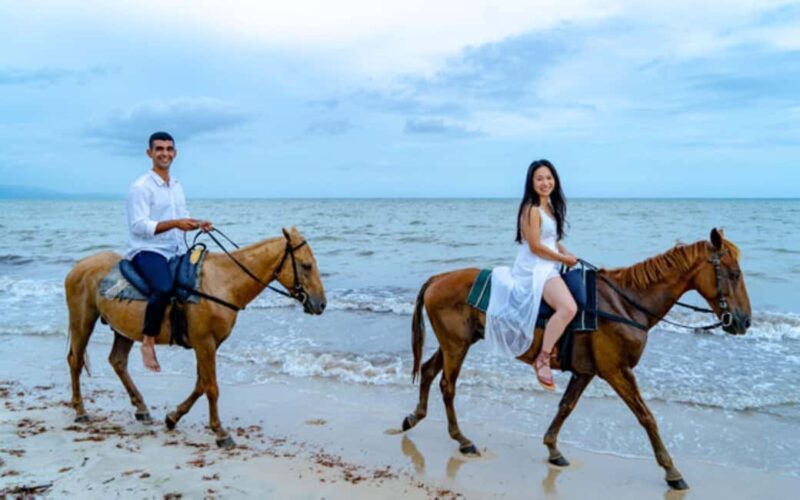 Horseback Ride and Swim Ocho Rios: Jam West Hanover - A Closer Look at the Horseback Ride and Swim Experience