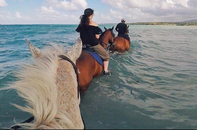 Horseback Ride and Swim Plus Dunns River from Montego Bay - Final Thoughts: Is This Tour Worth It?