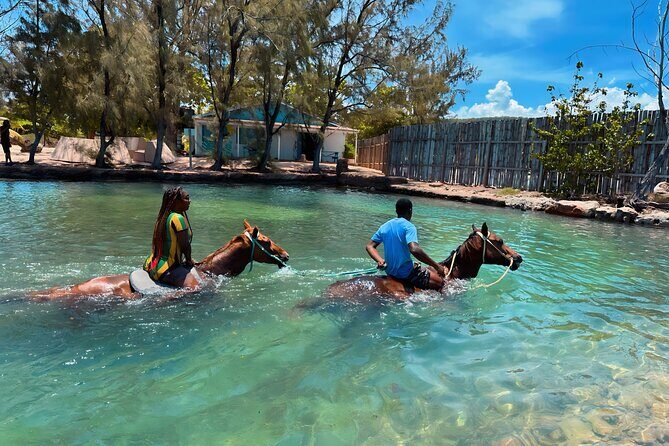 Horseback Ride and Swim Private Tour In Montego Bay - Good To Know