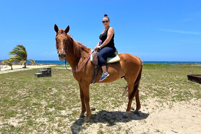 Horseback Ride and Swim Private Tour In Montego Bay - Practical Tips for Making the Most of Your Tour