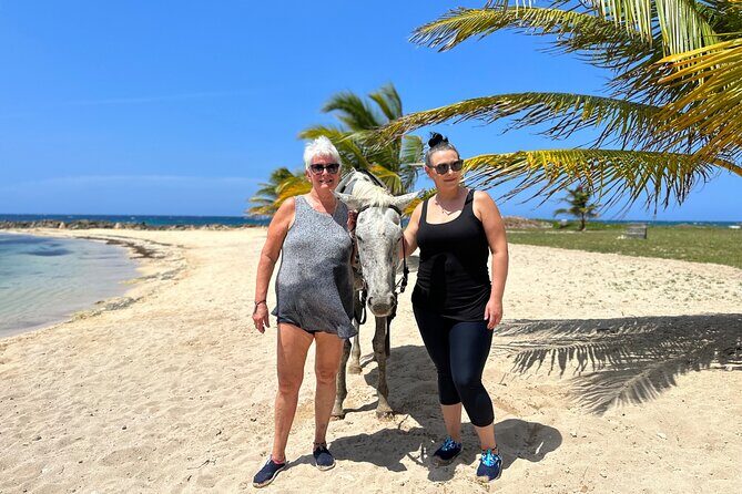 Horseback Ride and Swim Private Tour In Montego Bay - Who Is This Tour Best Suited For?