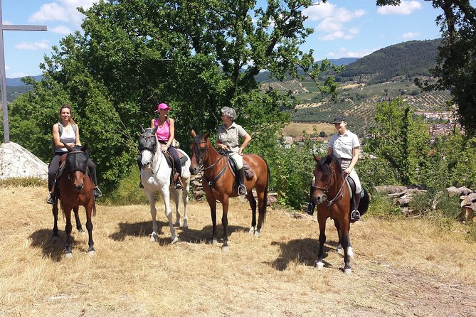 Horseback Ride and Wine Tasting With Light Lunch in a Historic Estate - Beautiful Scenery and Exceptional Service