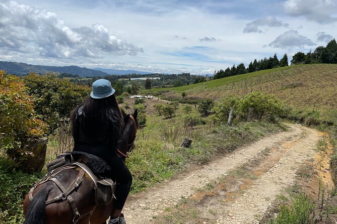 Horseback Ride Around Medellíns Beautiful Countryside! - Activity Overview