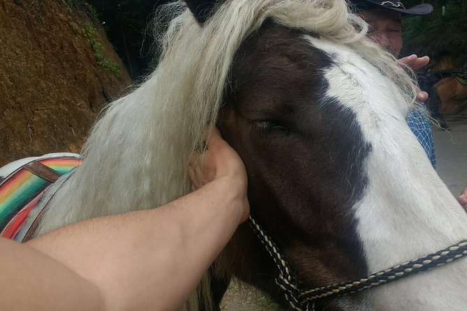Horseback Ride Around Medellíns Beautiful Countryside! - Cancellation Policy