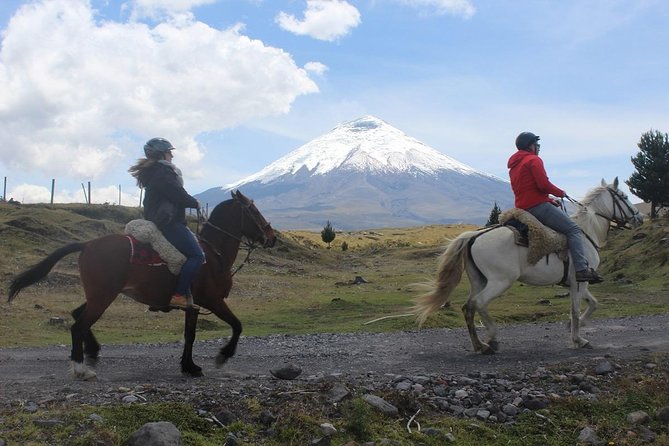 Horseback Ride & Hike in Cotopaxi Volcano Day Trip From Quito - Inclusions