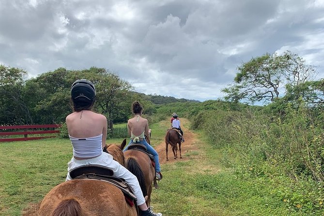 Horseback Ride Like an Authentic Paniolo in Kahuku - Cancellation Policy