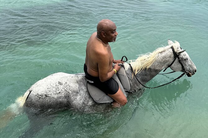 Horseback Ride N Swim & Bamboo Rafting Tour From Montego Bay - Customer Reviews