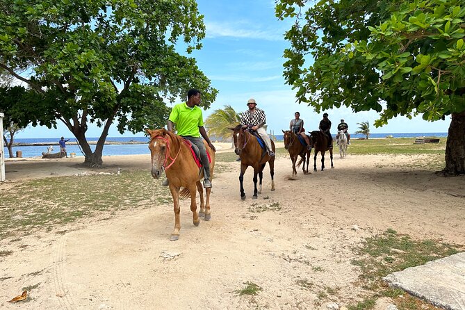 Horseback Ride N Swim & Bamboo Rafting Tour From Montego Bay - Positive Review Experience