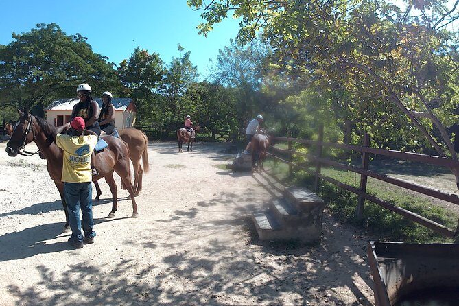 Horseback ride n Swim - Practical Considerations and Value  