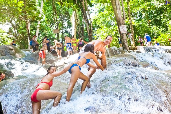 Horseback Ride N Swim & Dunns River Falls From Montego Bay - Traveler Reviews and Ratings