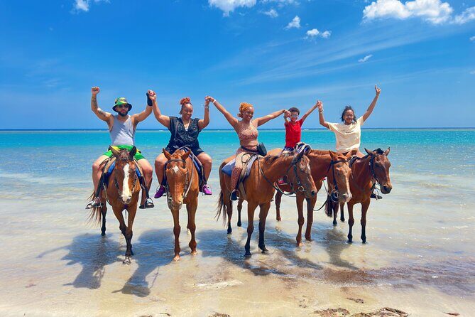 Horseback Ride n Swim Guided Tour In Ocho Rios - What to Expect from the Horseback Ride n Swim Tour