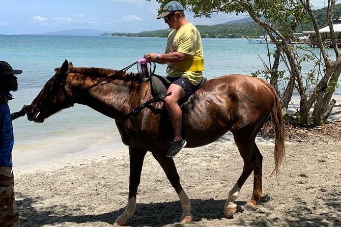 Horseback Ride N Swim With Private Transportation From Montego Bay - Meeting and Pickup Details