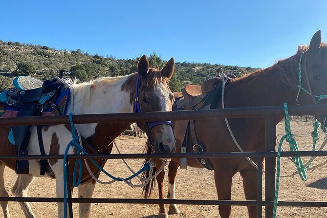 Horseback Ride near the Grand Canyon's West Rim - Location and Meeting Point