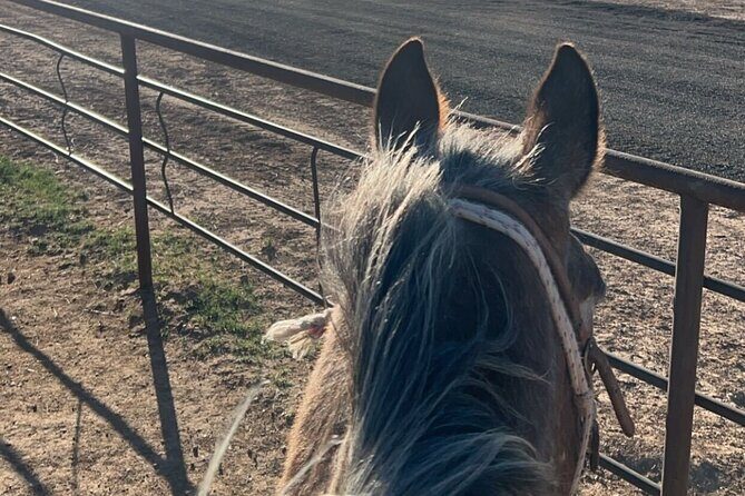 Horseback Ride near the Grand Canyon's West Rim - Safety and Accessibility
