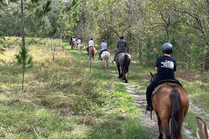 Horseback Ride on Scenic Lake Louisa Trails - Meeting and Pickup Information