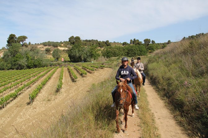 Horseback Ride, Penedés, Wine Tasting & Tapas Lunch - Reviews
