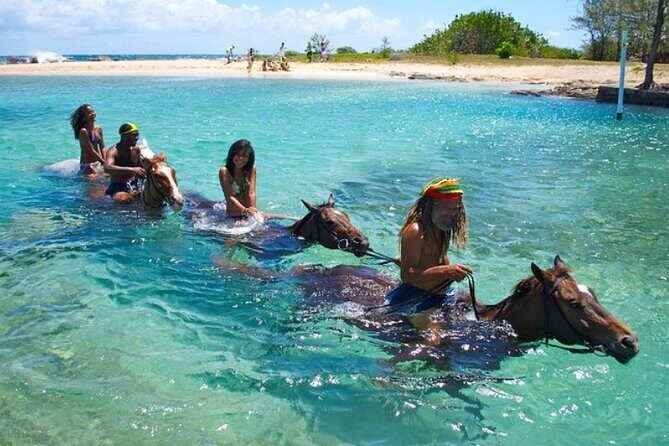 Horseback Ride & Swim Jamaica/Montego Bay - Good To Know  
