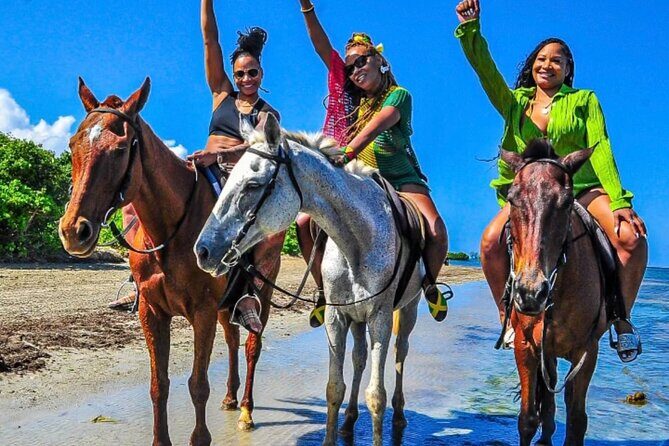 Horseback Ride & Swim Jamaica/Montego Bay - The Good, the Not-So-Good, and the Practical  