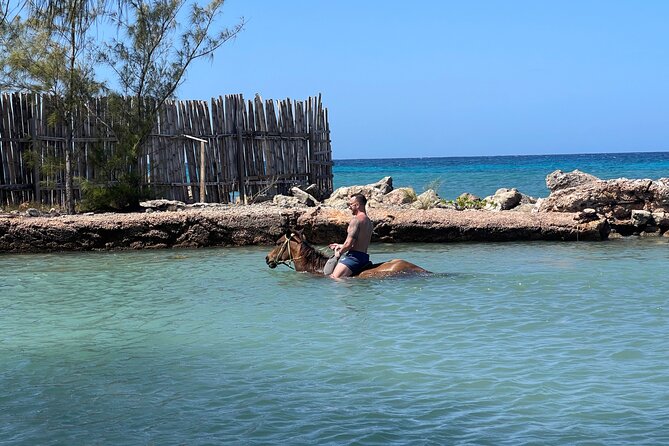 Horseback Ride & Swim Tour In Montego Bay - Additional Information