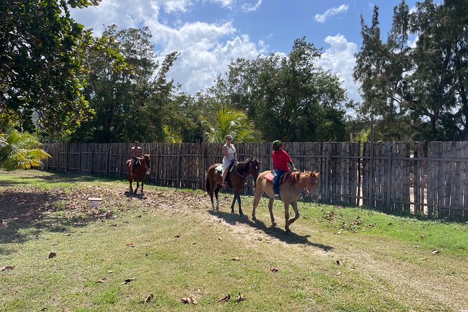 Horseback Ride & Swim Tour In Montego Bay - Common Questions