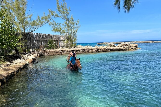 Horseback Ride & Swim Tour In Montego Bay - The Sum Up