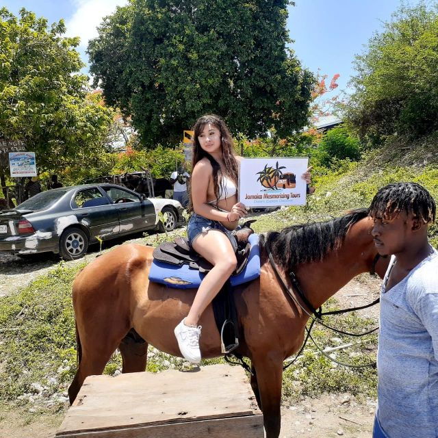 Horseback Ride & Swim With Secret River Tour - Live Tour Guide
