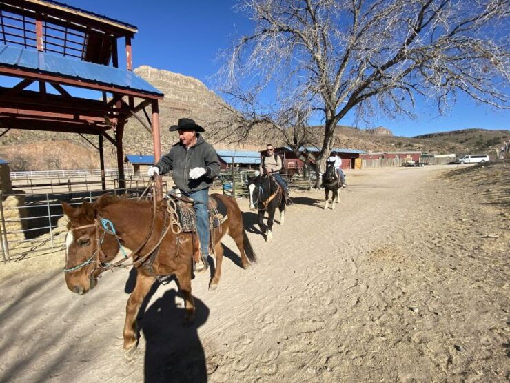 Horseback Ride Thru Joshua Tree Forest With Buffalo & Lunch - Highlights