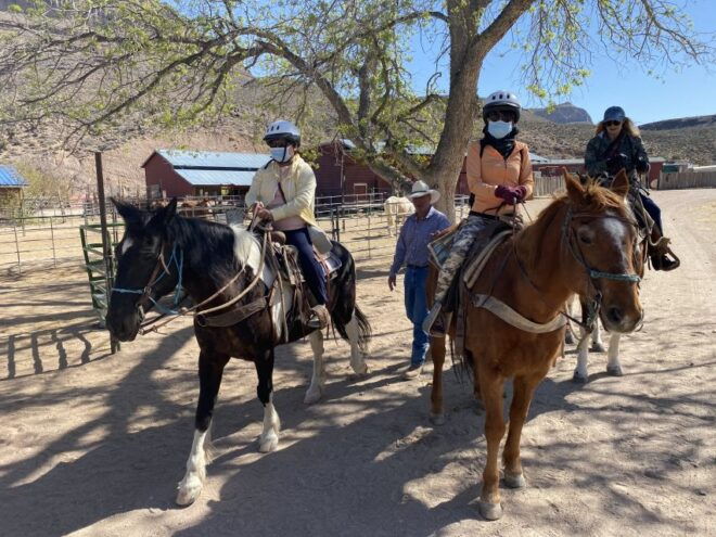 Horseback Ride Thru Joshua Tree Forest With Buffalo & Lunch - Customer Reviews