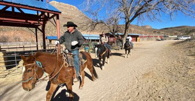 Horseback Ride Thru Joshua Tree Forest With Buffalo & Lunch - Related Activities