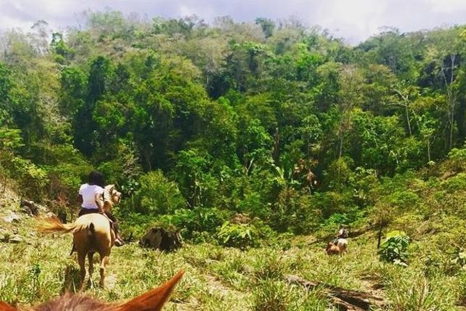 Horseback Ride to the Forgotten Jungle City - Logistics and Transportation