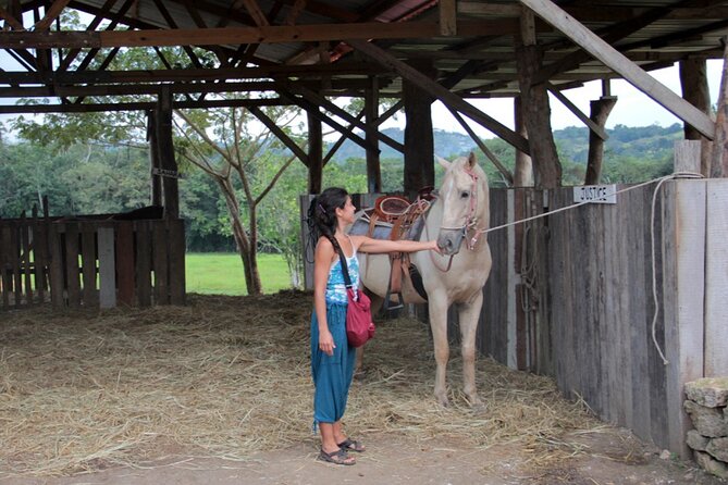 Horseback Ride to Xunantunich Maya Ruins - Tour Details