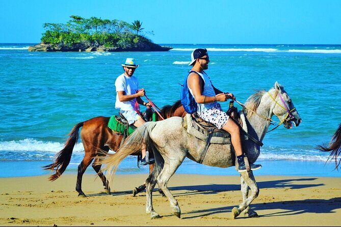 Horseback Ride Tour on the Beach in Puerto Plata - Good To Know