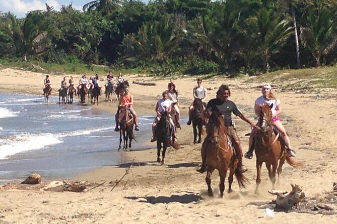 Horseback Ride Tour on the Beach in Puerto Plata - Final Thoughts