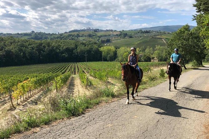 Horseback Ride, Visit to S.Gimignano, Tuscan Lunch, Wine Tasting, Chianti Winery - Overview and Tour Experience