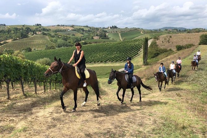 Horseback Ride, Visit to S.Gimignano, Tuscan Lunch, Wine Tasting, Chianti Winery - Visit to San Gimignano