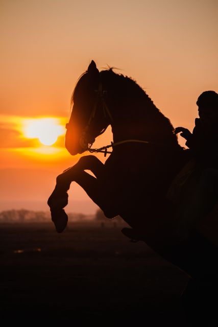 Horseback Ride With Sunset and Dinner Show in Agafay Desert - Experience Itinerary