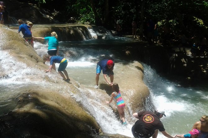 Horseback Ride Ziplining and Dunns River Falls Adventure From Montego Bay, - Group Size and Lunch Option