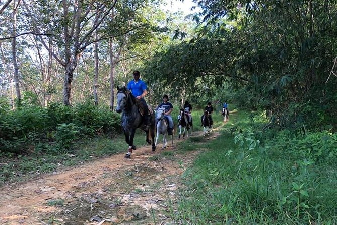 Horseback Riding 1 Hour Trail - Scenic Trails and Surroundings