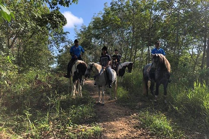 Horseback Riding 1 Hour Trail - Riding Techniques and Safety Tips