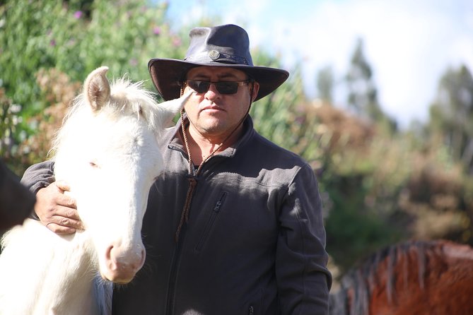 Horseback Riding: 4 Archaeological Sites - Lowest Price Guarantee