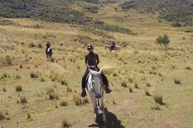 Horseback Riding: 4 Archaeological Sites - Overview of the Experience