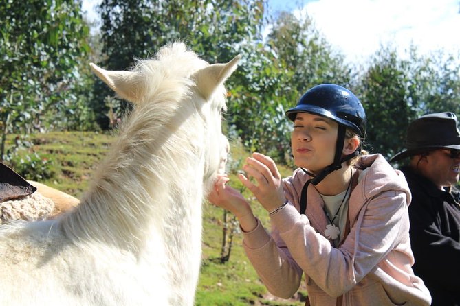 Horseback Riding: 4 Archaeological Sites - Reviews and Ratings