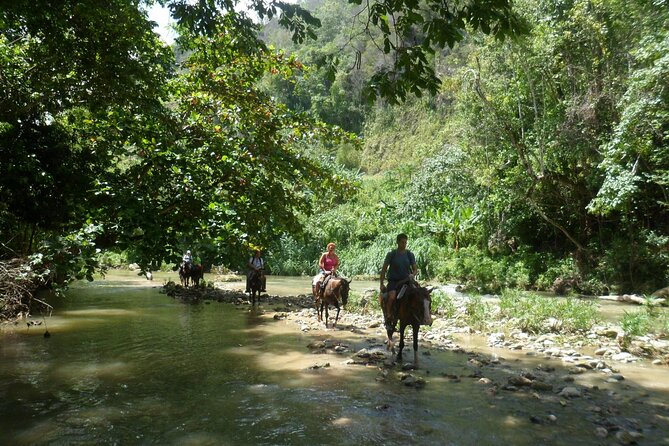 Horseback Riding Across Indigenous Trails Puerto Plata - Trail Options and Difficulty Levels