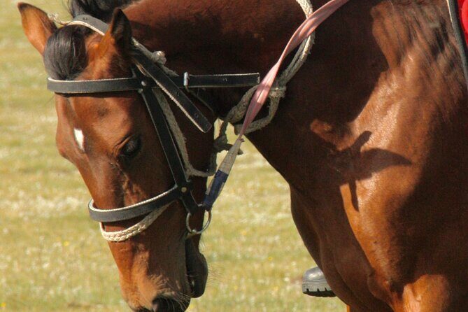 Horseback Riding Adventure in Ala archa National park - Final Thoughts