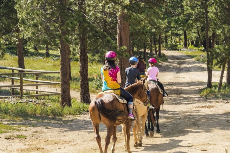 Horseback Riding Adventure in Fethiye - The 15-minute briefing and meeting your horse